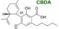 CBD and CBDa: What Are the Differences and Benefits?